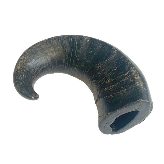 Buffalo Horn Jumbo x5