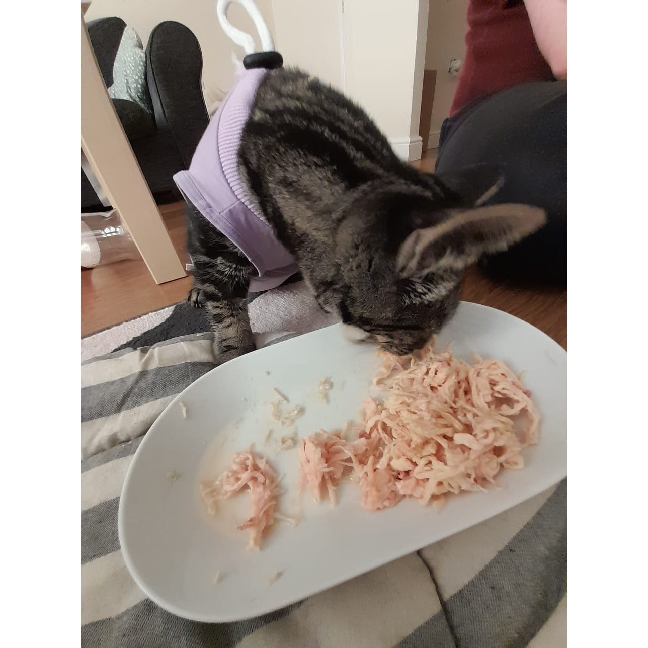 Dr Clauder's Cat Best Fillet No 3 Tuna & Chicken Breast 70g