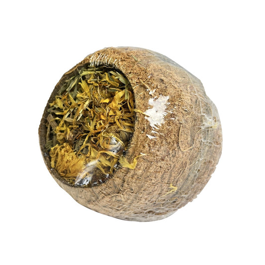 Forage Filled Coconut