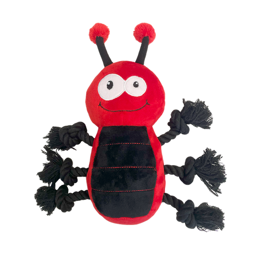 Happy Pet Ropee Bug Toy