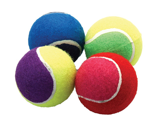 Tennis Balls 2.5" - Assorted Colours 4pk