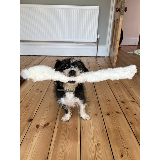 Whole Rolled Rabbit Skin With Fur x10