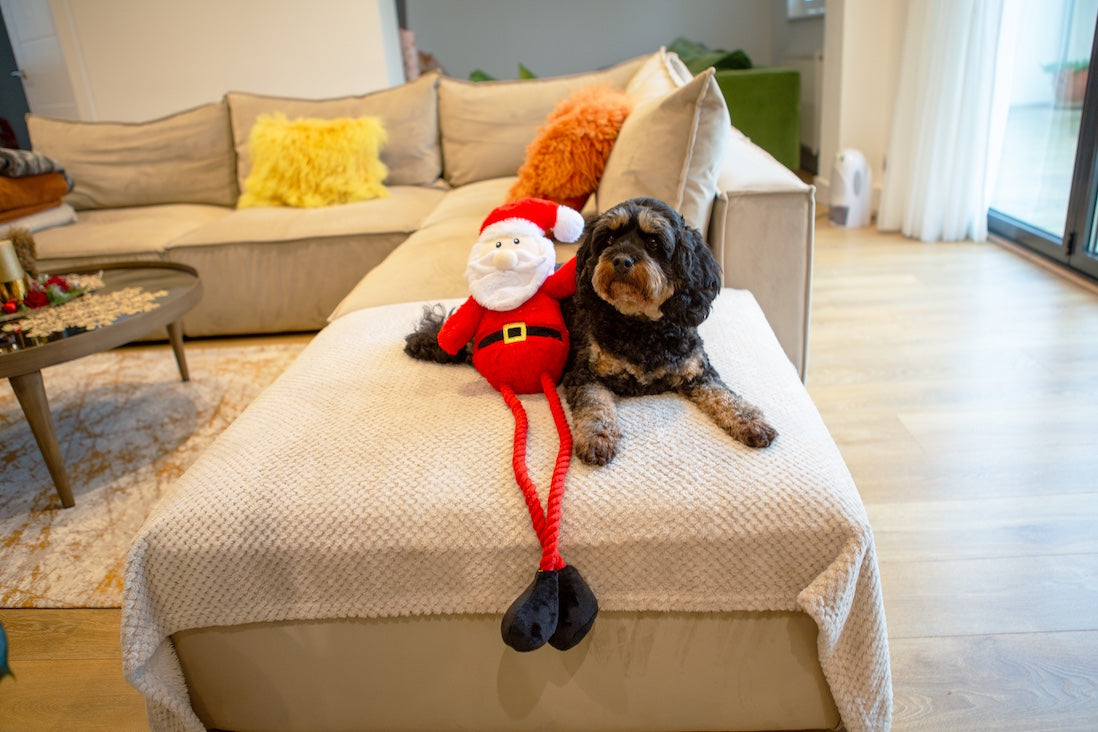 Ropee Long Legs Santa Dog Toy