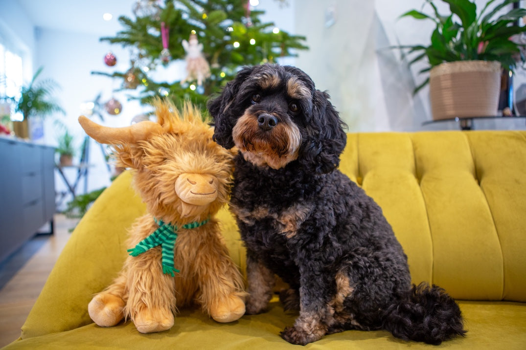 Festive Highland Cow Dog Toy - Jumbo