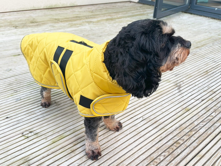 Quilted Classic Dog Coat Mustard