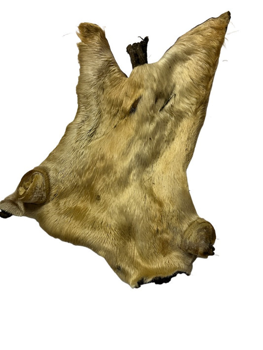 Hairy Beef Flat Head Skin 2.5kg