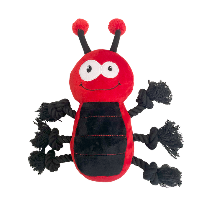 Happy Pet Ropee Bug Toy