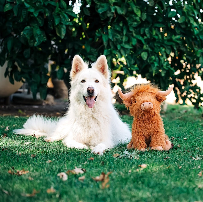 Multipet Highland Cow