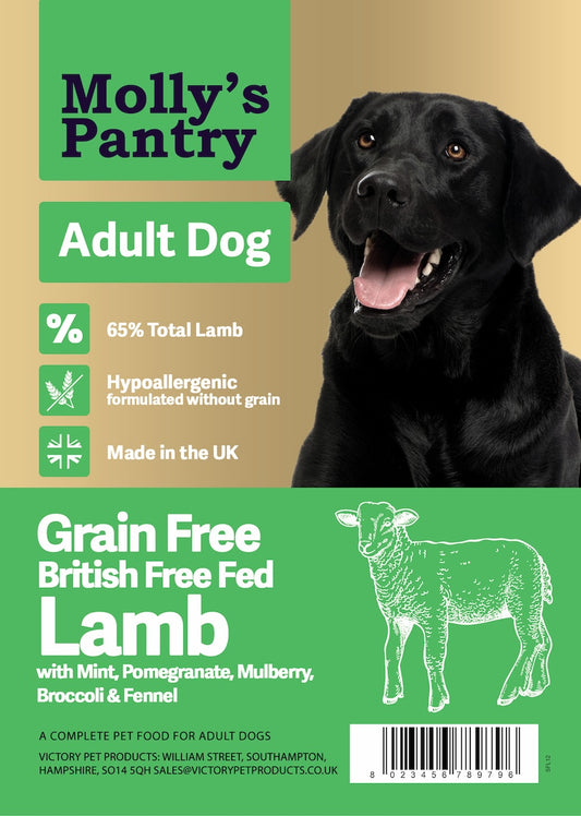 Molly's Pantry 65% Grass Fed Lamb Adult Dog