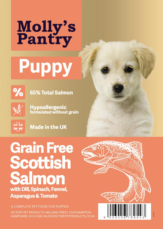 Molly's Pantry 65% Scottish Salmon Puppy