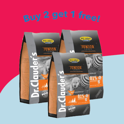 Offer One
