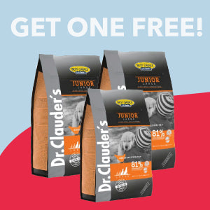 OFFER 3
