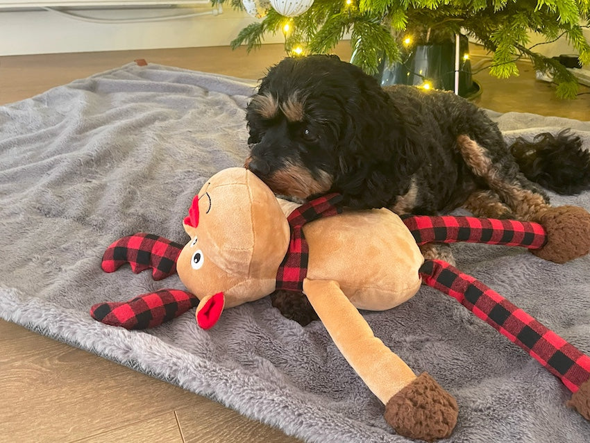 Happy Pet Ralph Reindeer Toy